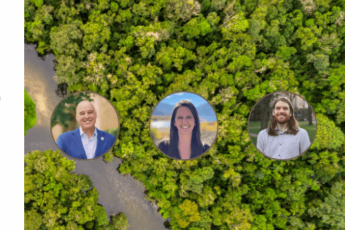 article preview image